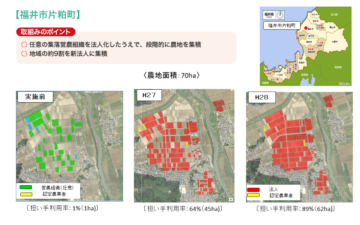 既存組織の再編によるメガファームの創設