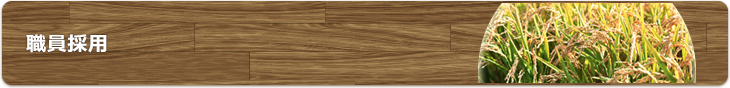 職員採用